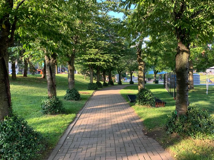 A tree-lined path through a Burlington park