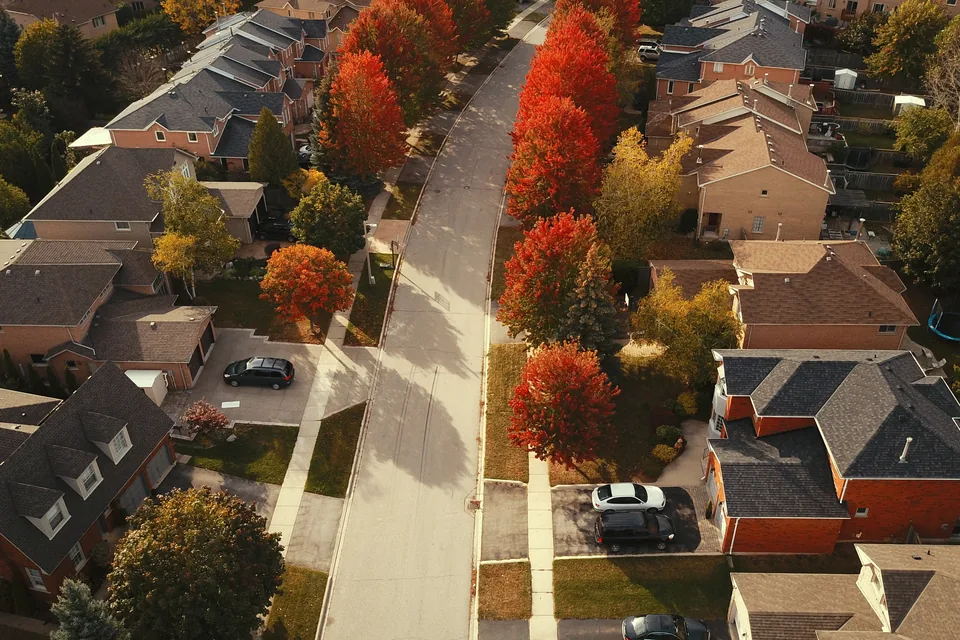 Aerial view of a tree-lined suburban street of detached houses in autumn, with red and orange maples along the sidewalks